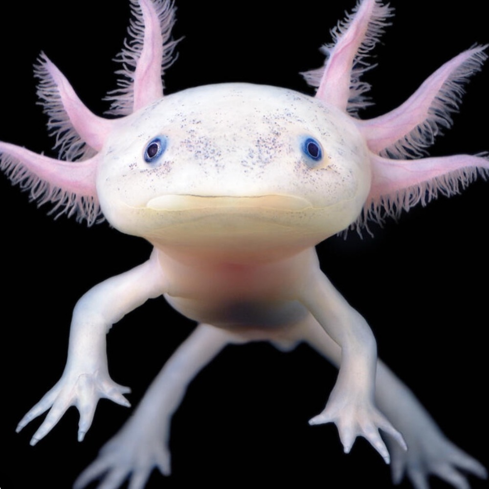 Meet your Posher, Jonathan